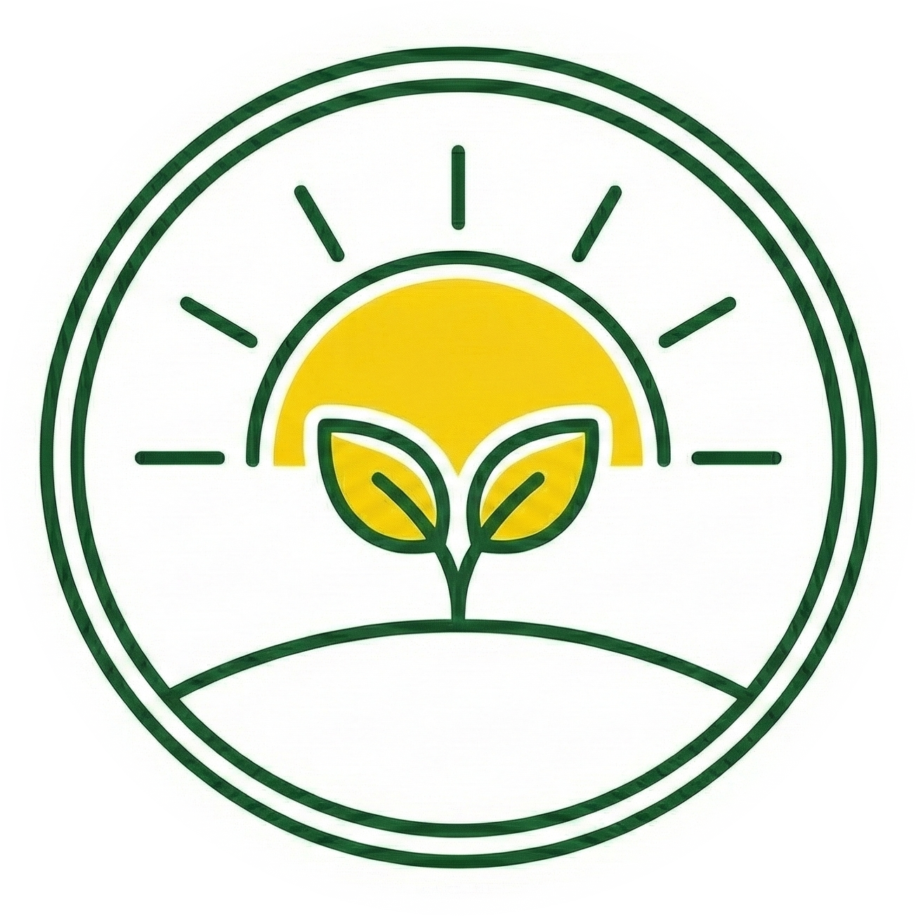 Transformation & New Beginnings